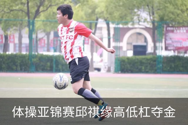 体操亚锦赛邱祺缘高低杠夺金
