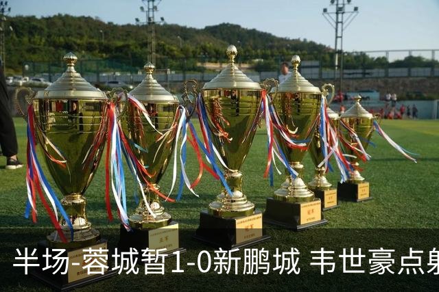半场-蓉城暂1-0新鹏城 韦世豪点射韦林顿造点双方对抗激烈5人染黄