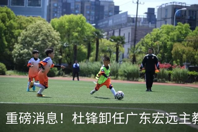重磅消息！杜锋卸任广东宏远主教练，后续变化值得关注